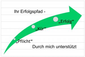 Nutzen der Unternehmensberatung - Erfolgspfad